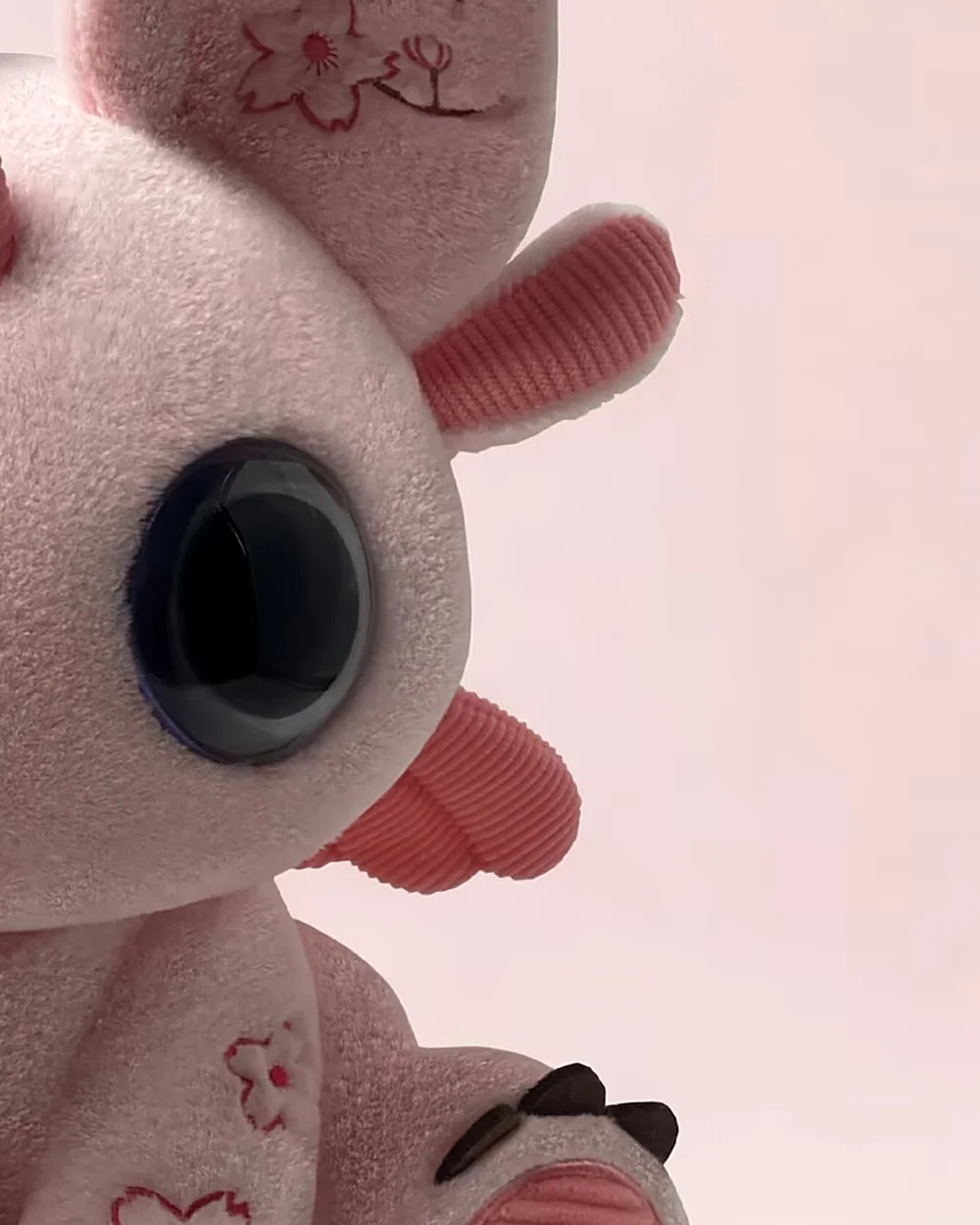 Close-up of pink Bloom's eye and side fins.